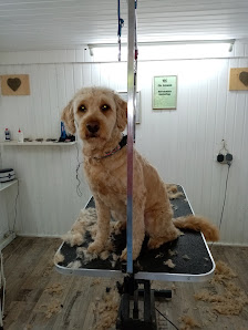 Hundesalon Ch. Schmidt Bommerholzer Str. 83, 58456 Witten, Deutschland