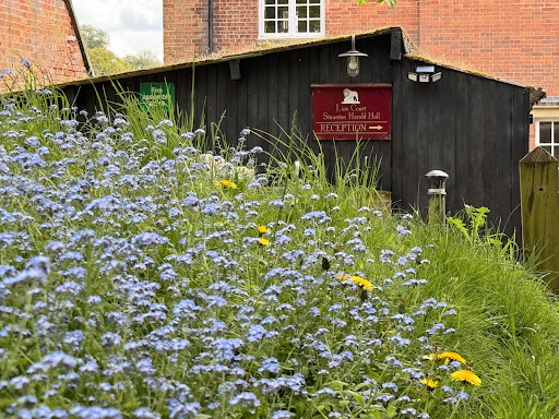 Forensic Psychiatry Experts Gallery - United Kingdom