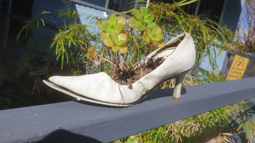 Wauchope Community Markets - Thumbnail
