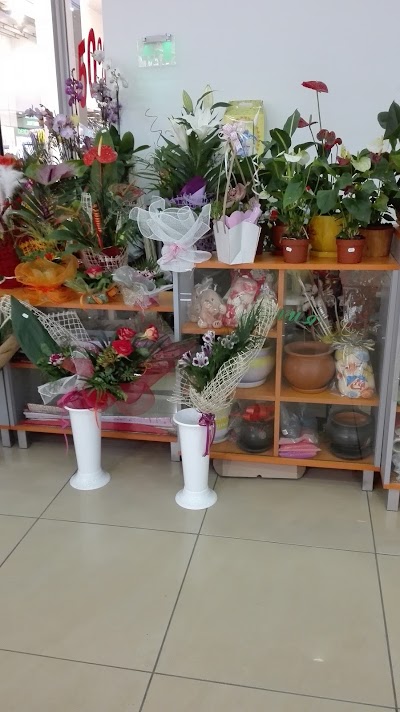 Photos of Subra Pleven - Panorama Mall