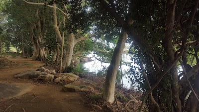 Photos of Pink fox resort. Hingurana