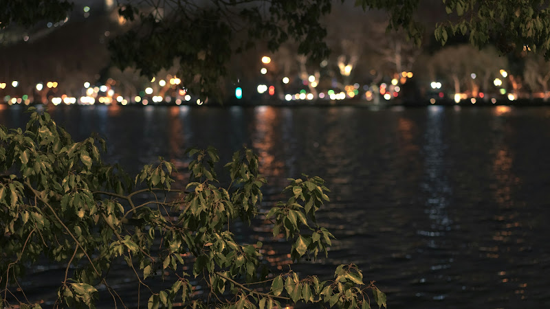 Riverside Marquee - Wedding Venues in St Marks Cres