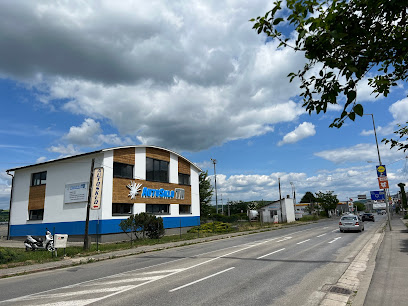 Autosklo TN