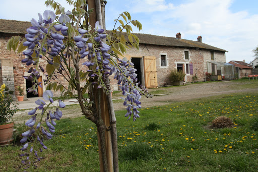 La Ferme De Corcelle - Thumbnail