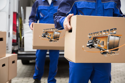 Virtus Transport - Visual
