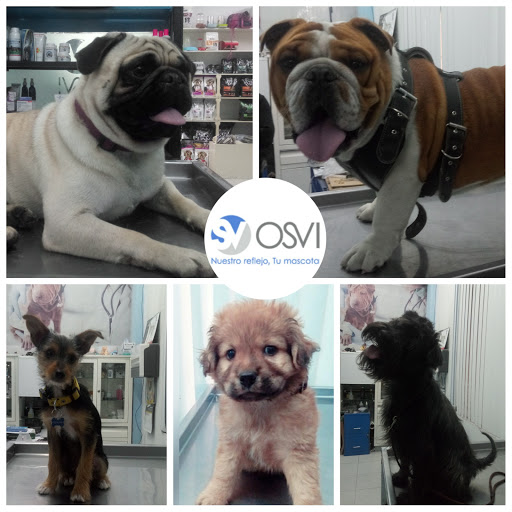 Hospital Veterinario Osvi