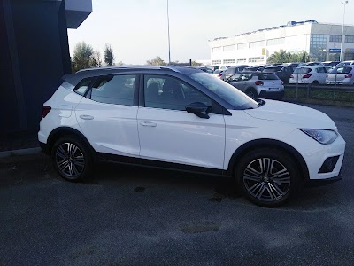 car-dealer