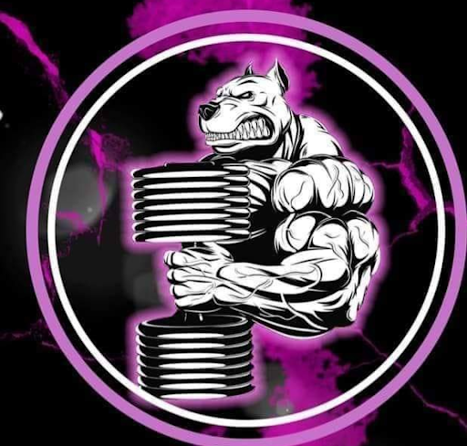 Perros Gym - Thumbnail
