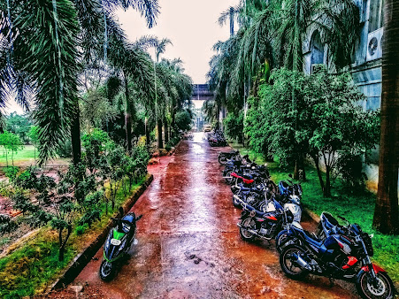 Af1qipn3y5181gpbjkum8fadlo2p3vxbzld1gxbqsvls=s451 K No