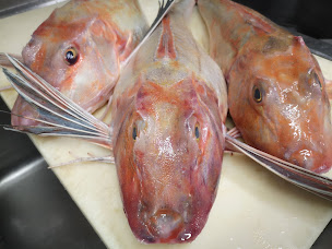 Photo n°12 de Le Dom's à Rivesaltes (Restaurant français)