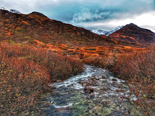 Gold Mint Trailhead - Thumbnail