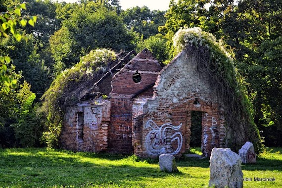 Ruiny obiektów obozowych, Author: Albin Marciniak