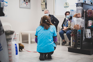 Photo n°10 de Clinique Vétérinaire Ani-Maux Vét à Elne (Vétérinaire)