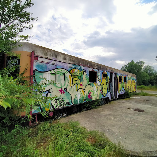 Treno Gattatico - Visual
