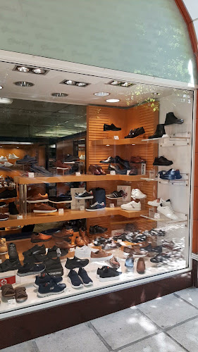 Folia shoes