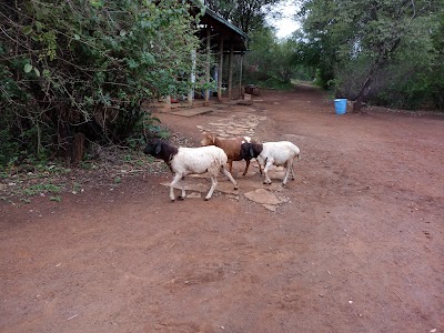 Photos of Camp Malta