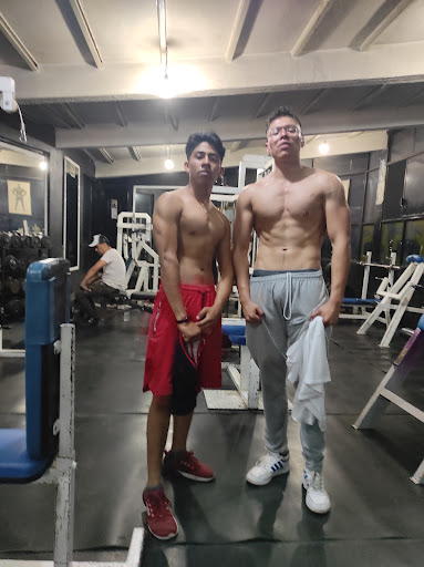 Pit bull Gym - Thumbnail