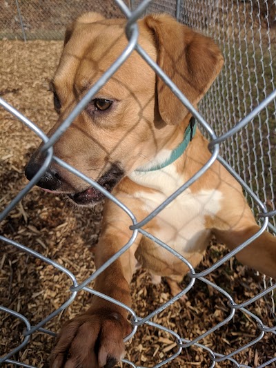 Putnam County Animal Shelter