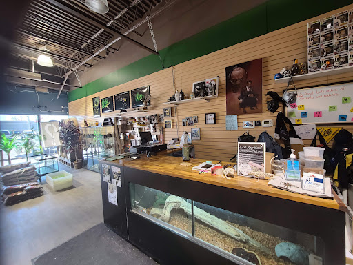 Got Reptiles - Visual