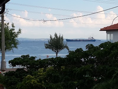 Photos of Moonlight Beach