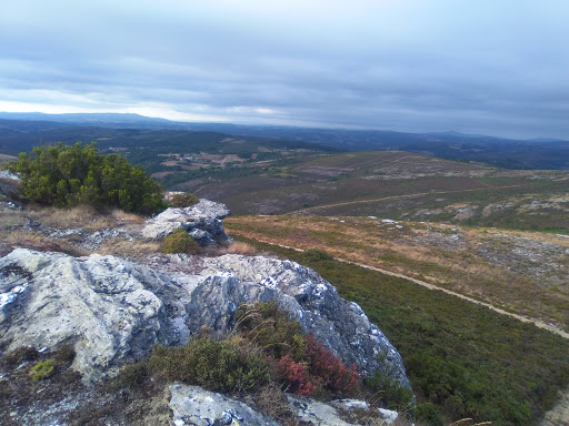 Cruce - Visual
