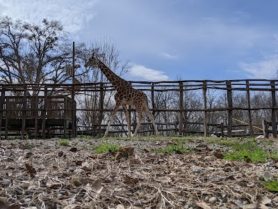 Pettit Creek Farms