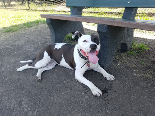 Eden Greenway Dog Park - Thumbnail