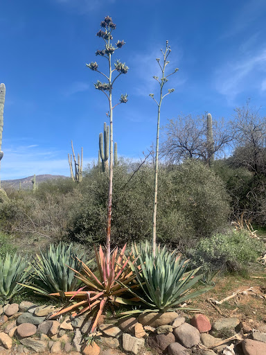 Spur Cross Ranch Conservation - Thumbnail
