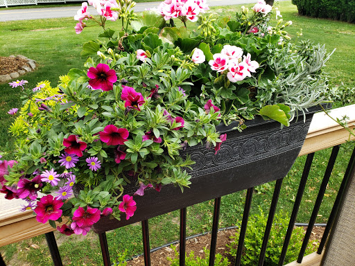 Kay-Dee's Gardens - Thumbnail