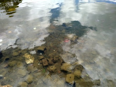 Photos of Pari Talao