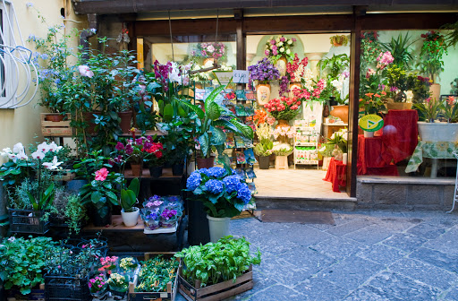 Piante Fiori E Addobbi Terrecuso - Thumbnail