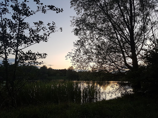 Escomb Nature Reserve - Thumbnail