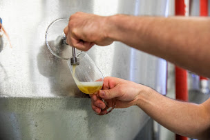 Photo n°1 de Brasserie du Vignoble à Ribeauvillé (Caviste)