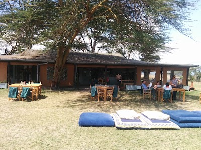 Photos of Morani's Bar and Restaurant