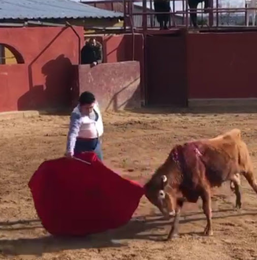 Ganadería Valdenuño. Gallery - Spain