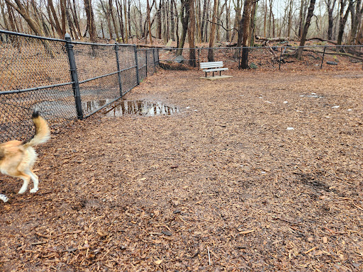 East Providence Dog Park - Thumbnail