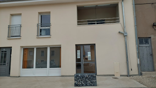Institut Amazonite - Visual