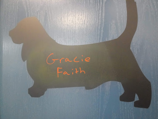 Fur Family Animal Hospital Gallery - United States