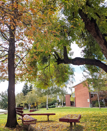Jesuit High School