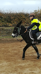 Photo n°25 de Erimûr'Anes à Mûrs-Erigné (Centre équestre)