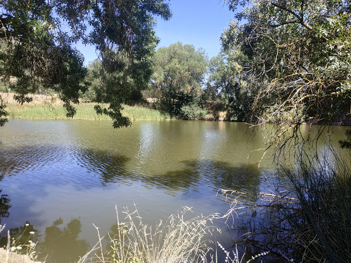 Meandro Río Guadiana - Thumbnail