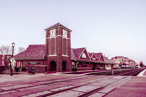Palatine - Visual