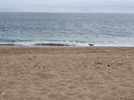 Strete Gate Beach - Thumbnail