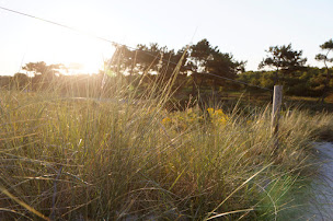 Photo n°19 de Camping Yelloh! Village l'Atlantique à Fouesnant (Agence de location de maisons de vacances)