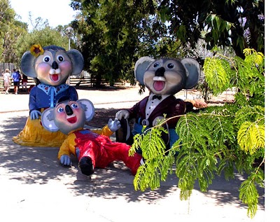 Photos of Cohunu Koala Park