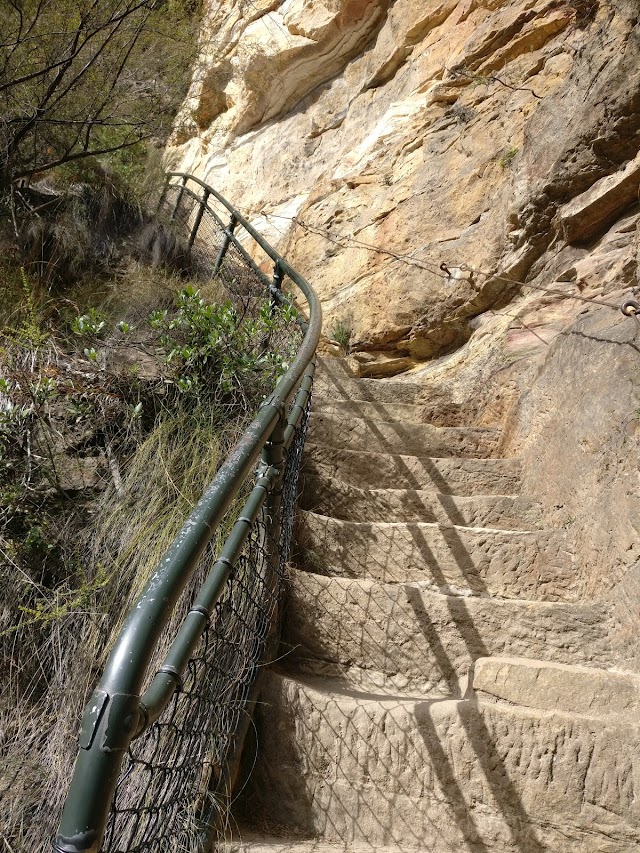 Wentworth Falls tracks Lookout