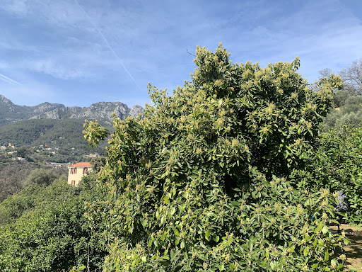 La Ferme des Citrons - Thumbnail