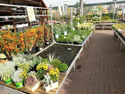 Photos of HORNBACH M&uuml;nster