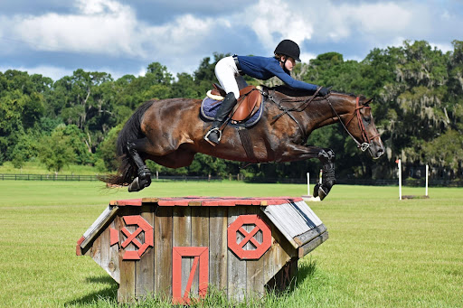 Y Knot Equestrian - Thumbnail