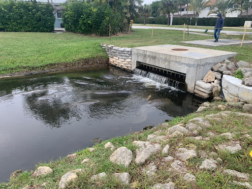 DeSoto Park Canal for Manatees - Thumbnail